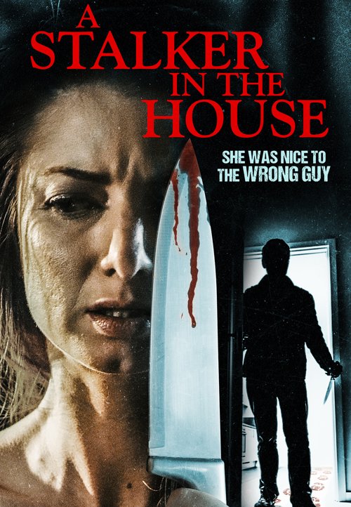 A Stalker in the House key art