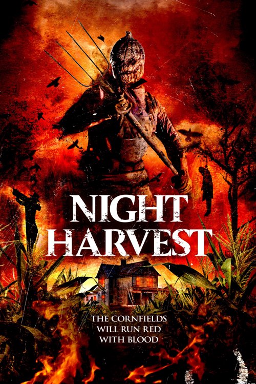 Night Harvest key art
